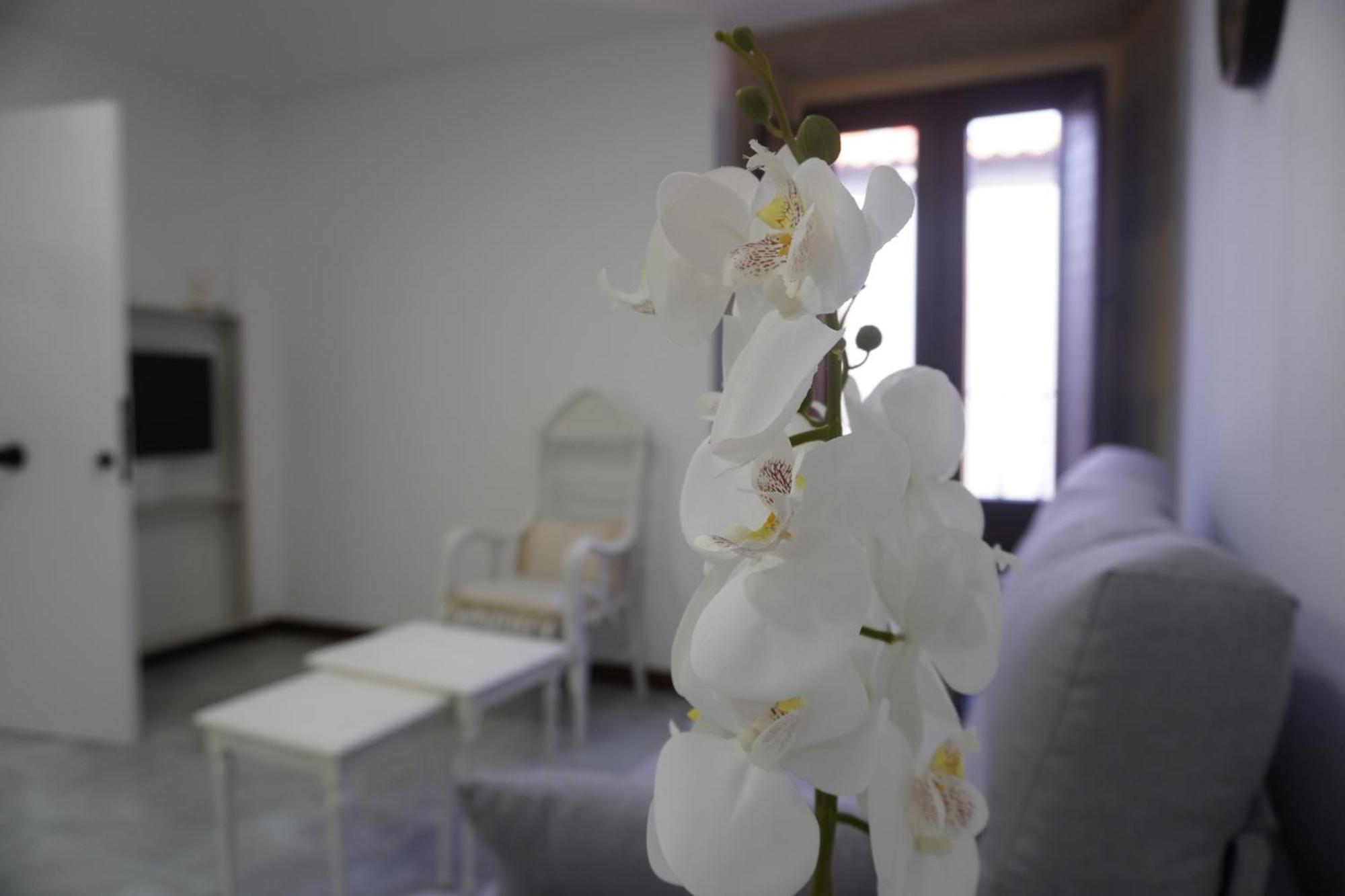 Apartamento Sanin 3 Лумбралес Экстерьер фото
